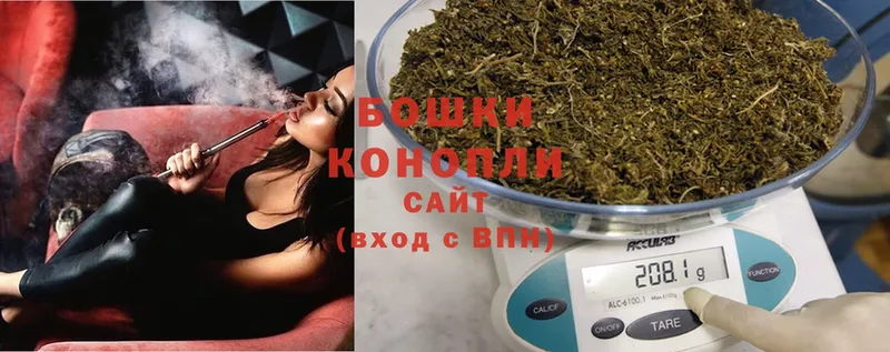 Бошки Шишки White Widow  Нижняя Тура 